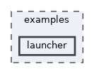 examples/launcher